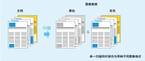 1547542481823186.jpg 13.jpg